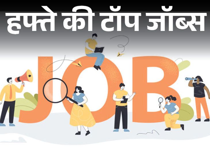 4455 vacancies for graduates in IBPS, 1057 recruitments in Rajasthan, more than a thousand jobs released this week | हफ्ते की टॉप जॉब्स: IBPS में ग्रेजुएट्स की 4455 भर्तियां, HSSC में प्राइमरी टीचर्स की 1456 वैकेंसी; इस हफ्ते निकलीं 9 हजार से ज्यादा नौकरियां